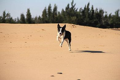 《贝优妮塔1、2》中文介绍预告 中文更新现已上线